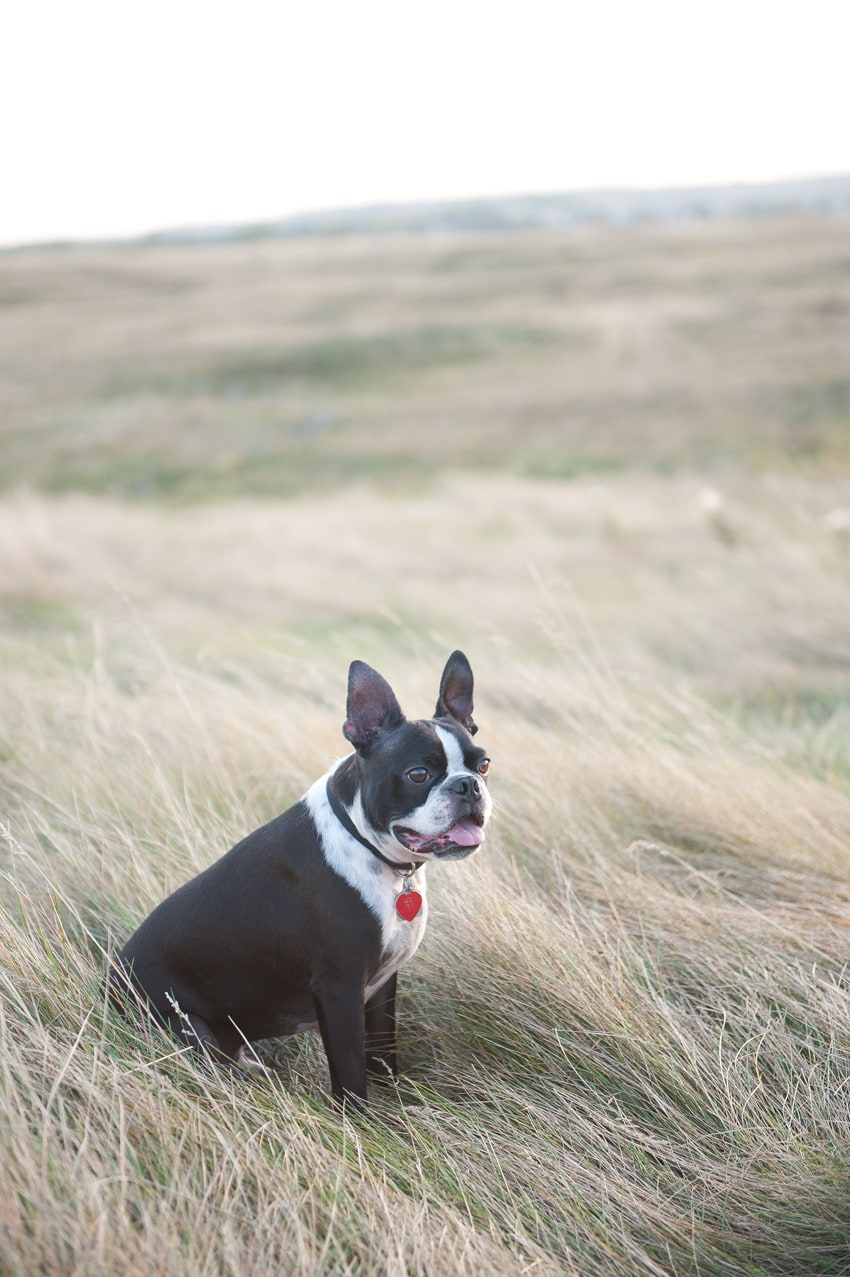 Sarah_Preston_Blair_Marie_photography_Calgary_Engagement_Photographer_Calgary_Wedding_Photographer