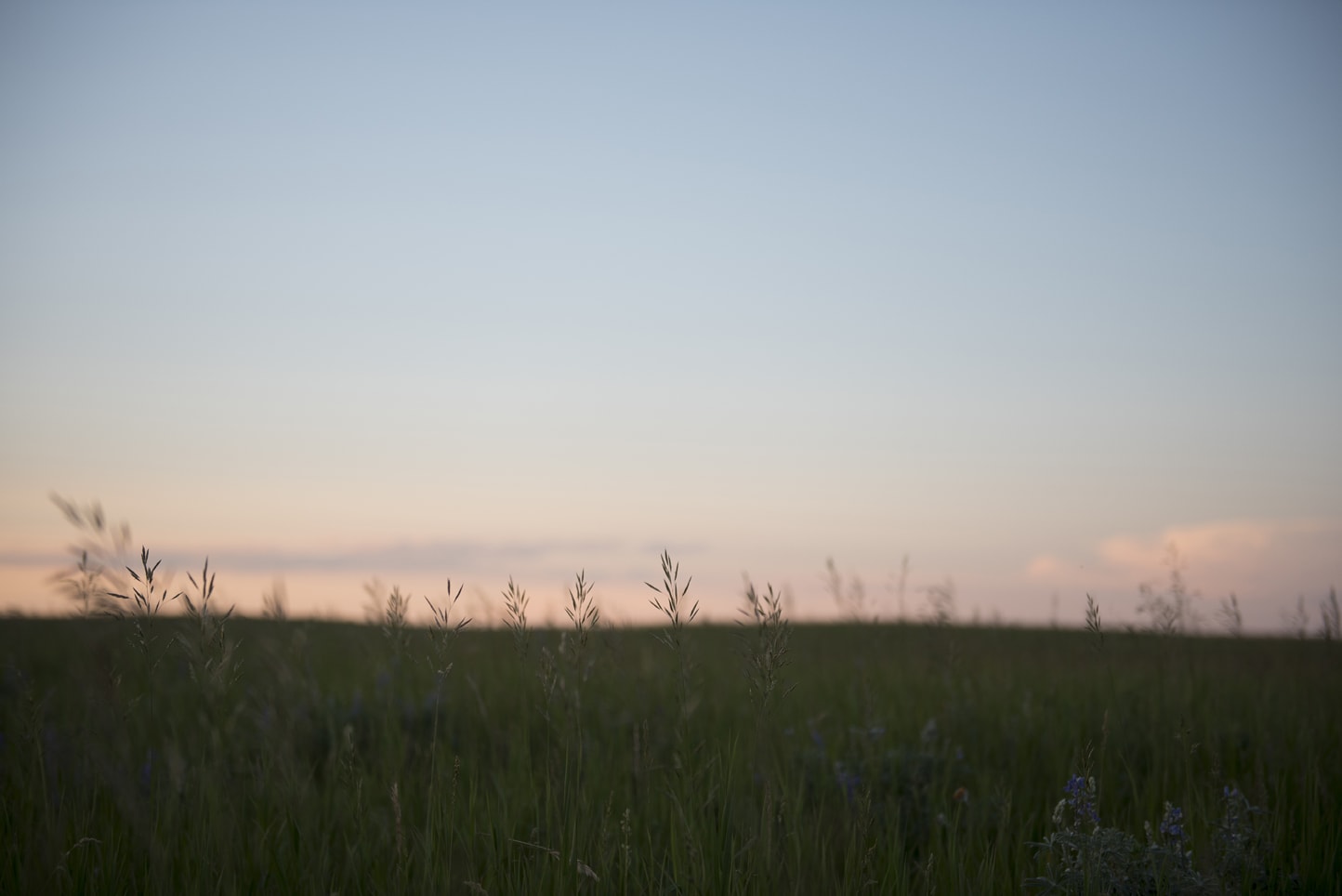 Fish Creek Park Engagement Session Calgary Blair Marie Photography