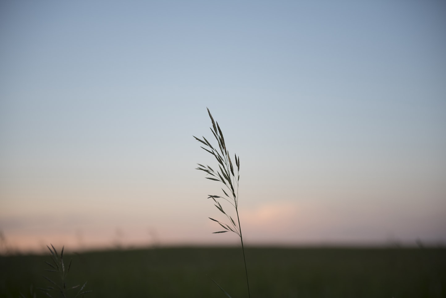 Fish Creek Park Engagement Session Calgary Blair Marie Photography