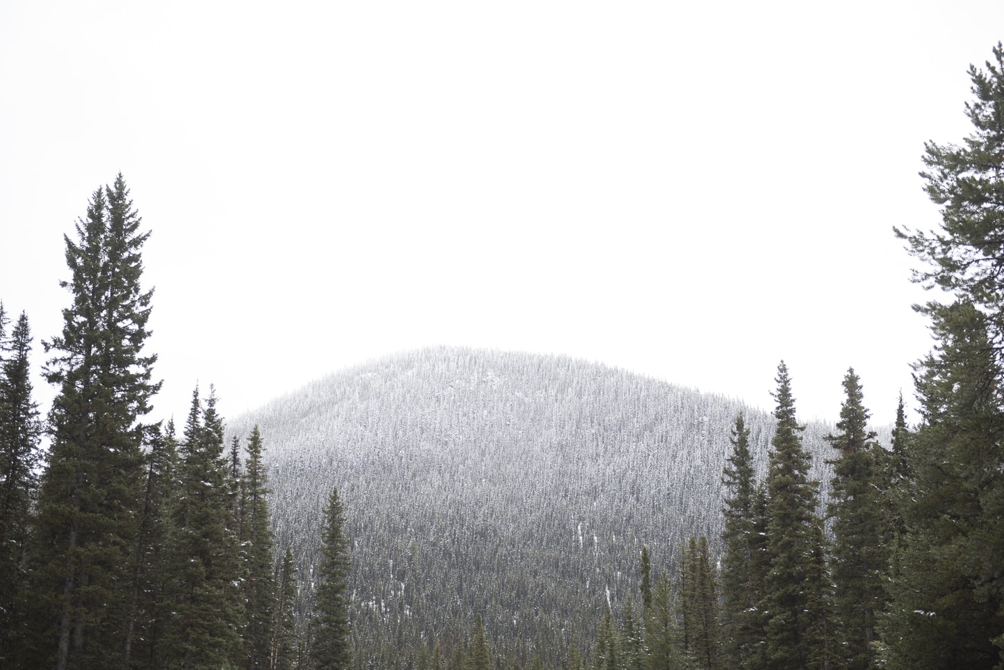 Kananaskis Engagement Session Calgary Wedding Photographer Calgary Wedding Photography Mountain Engagement Session Travel Alberta