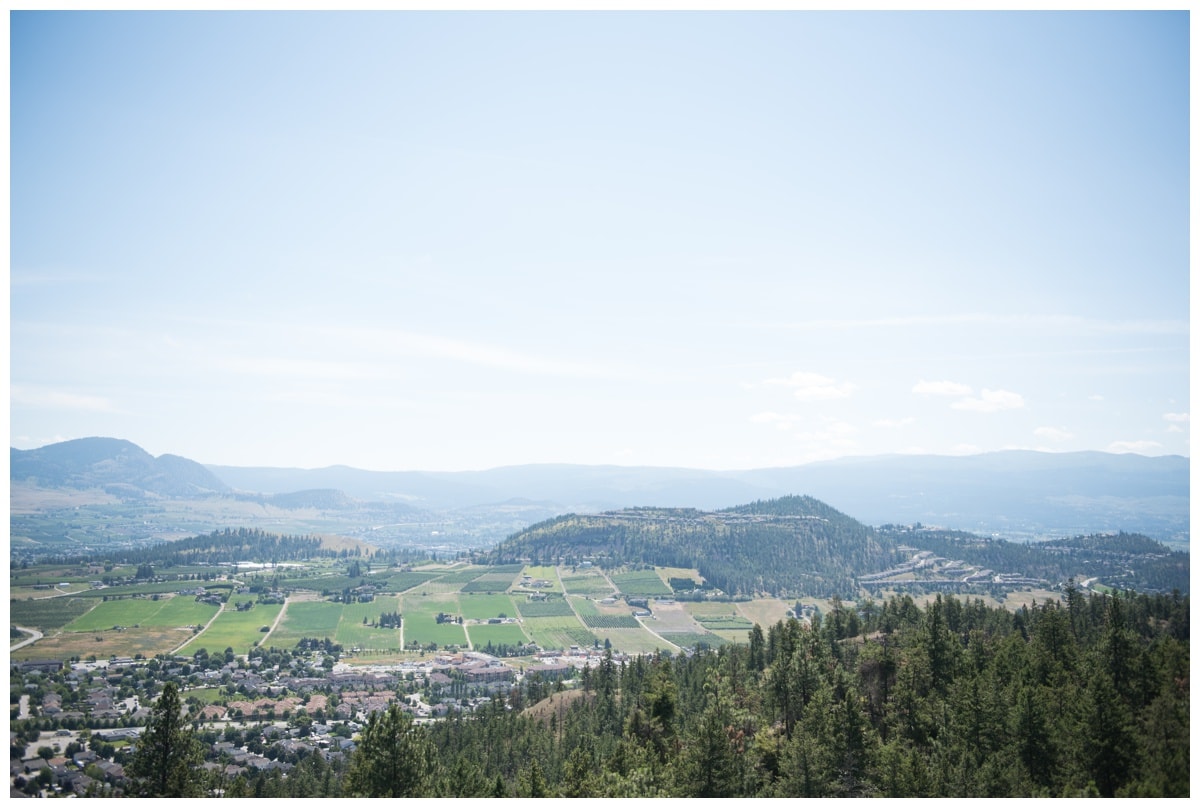 Kelowna Summerhill Winery Wedding