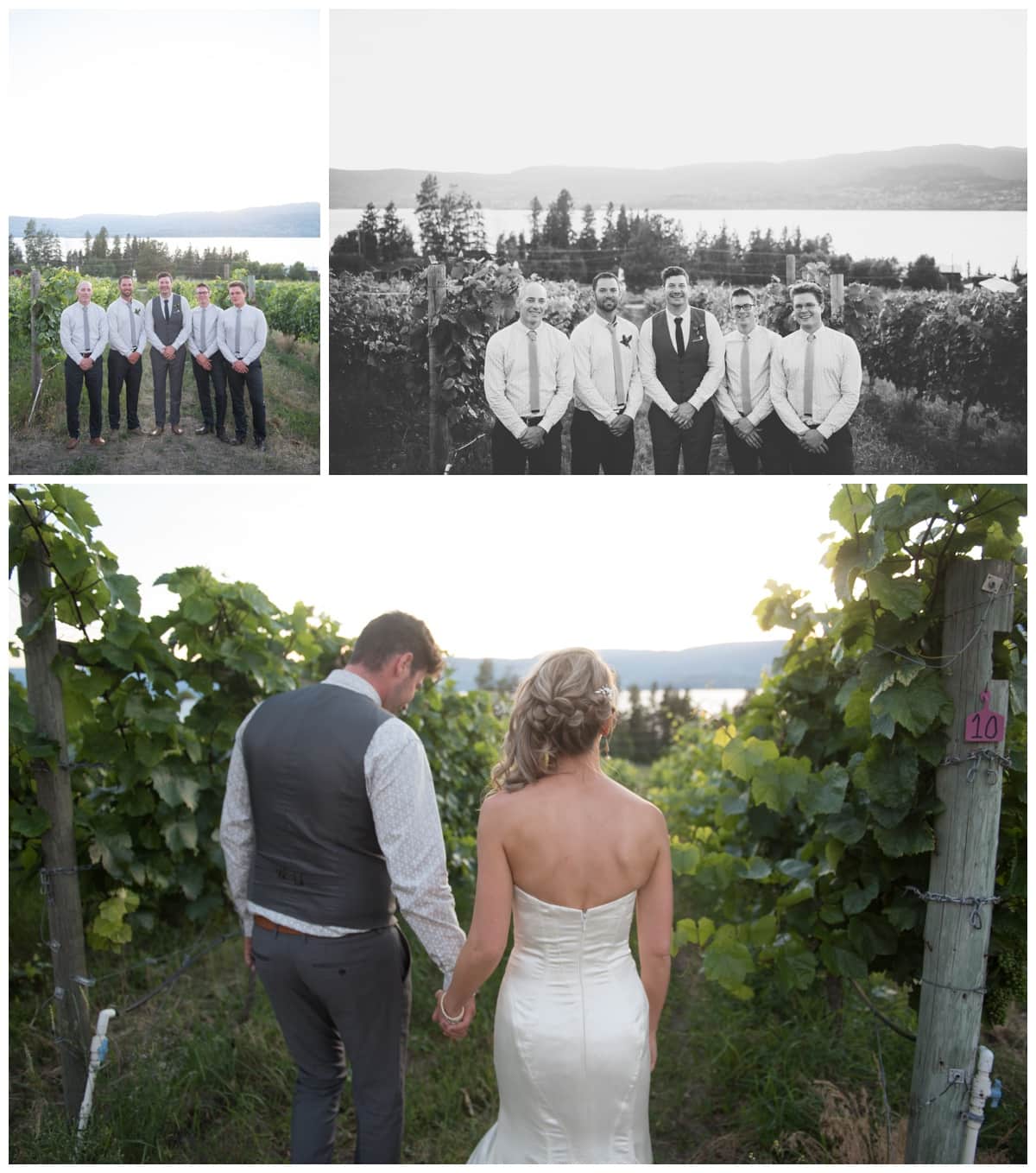Calgary Wedding Photographer Blair Marie Photography Kelowna Wedding Photographer Summerhill Winery Wedding Kelowna Tanis and Brad_0231