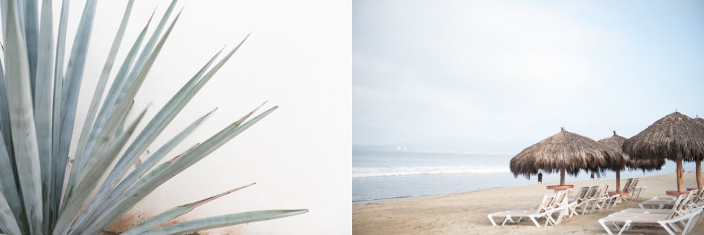 beach chair and cactus 