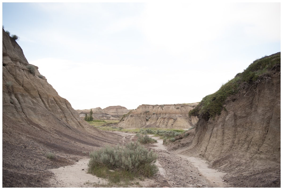 Horseshoe Canyon Drumheller