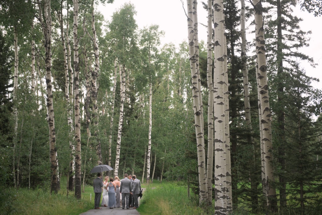 Bridal Party walks down tree lined path with umbrellas