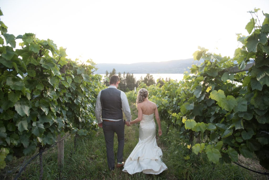 a year in review couple descends down into the vines